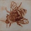 NIEUW  Hommel   Droge naald  12x13  Druk5/8