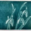 mezzotint 10x15  druk5/8