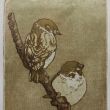 Mussen lijnets + aquatint  druk 5/8  10x15