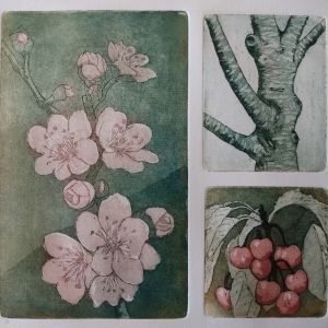 NIEUW  Kersen  lijnets + aquatint   24x26