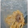 Zonnebloem  lijnets+aquatint  20x25  druk 4/8