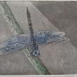 Libelle  lijnets + aquatint  20x25  druk 5/8